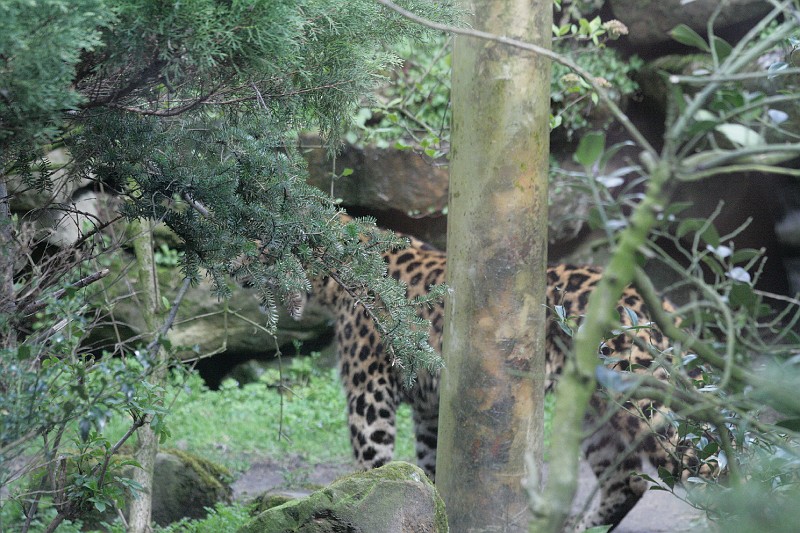 Fotoclubje Blijdorp 2008-99.jpg